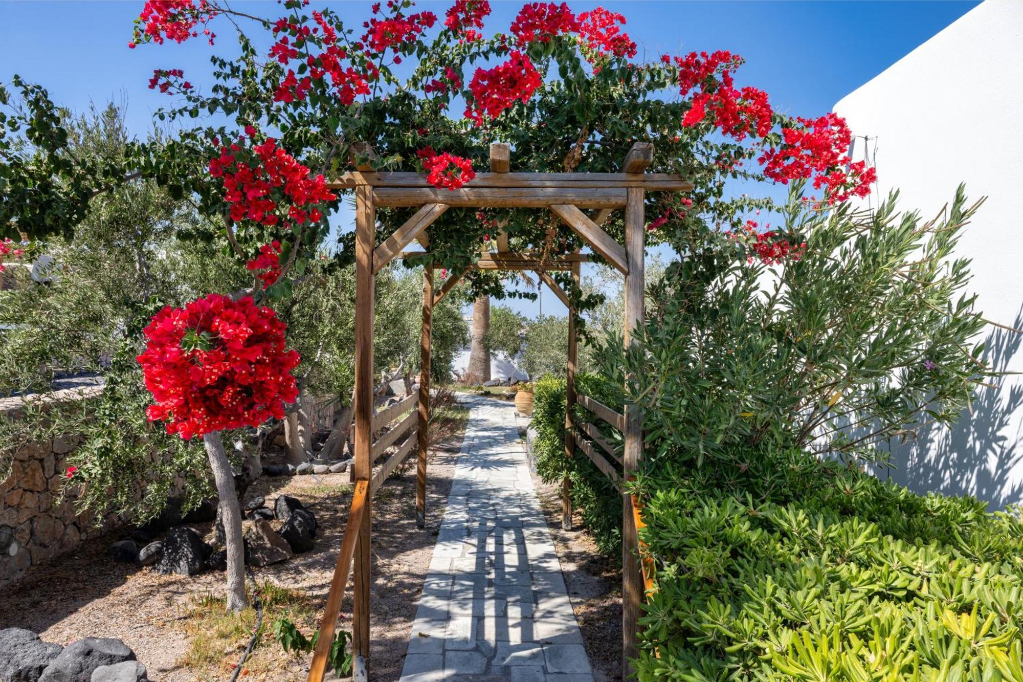 Anema Boutique Hotel & Villas Santorini Vúrvulosz Kültér fotó